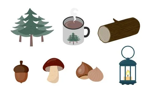 Forest themed camping object colletion of tree trunk mushroom chestnut acor.. Stock Illustration