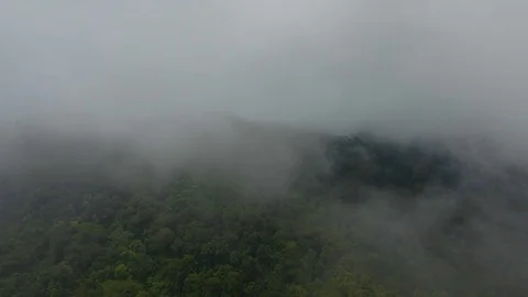 Forest Through Clouds Aerial Dolly In Shot Vídeos de archivo 112365726
