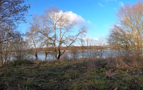 Forest Time Lapse - Clouds over lake Stock Footage
