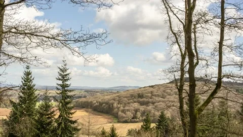 Forest timelapse looking over sweeping countryside Stock Footage 236329876