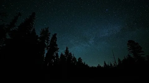 Forest timelapse night dip timelapse Video stock 108014651