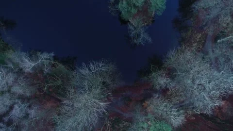 Forest with Tiny Islands in the Winter During Twilight - Friesland, Netherlands Stock Footage 258629636