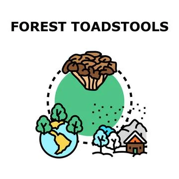 Forest toadstools growing in natural environment concept Stock Illustration