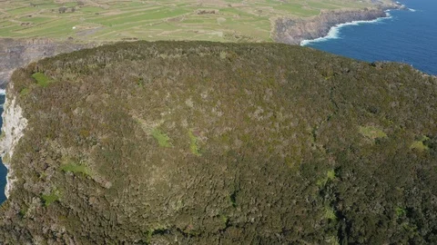Forest on the top of big rock Castelo Branco. Isthmus between it and Faial 스톡 동영상 117305535