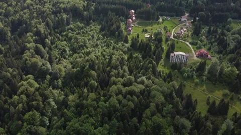 Forest top down aerial shot from drone Stock Footage 297253759