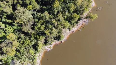 Forest top view drone red river louisiana Stock Footage 121421134