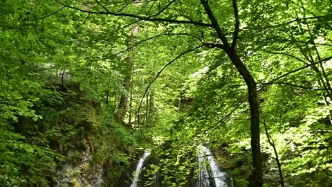A forest with the top of a waterfall (slow motion) Stock-Footage 262077091