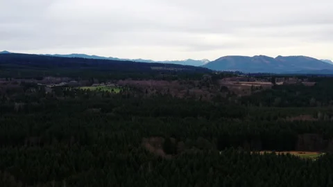Forest towards Mountain Flyover 4k 30fps 库存影片 144743809
