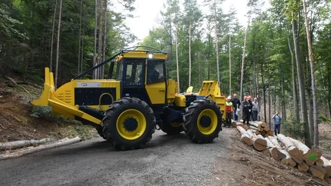 Forest tractor pulling logs Stock Footage 127018641