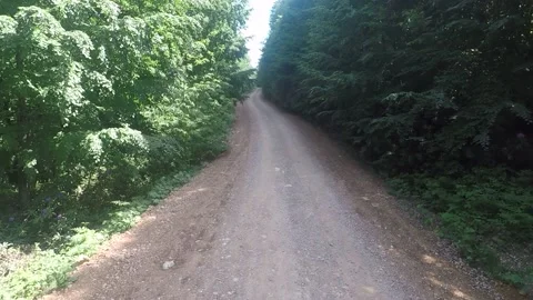 Forest trail, aerial Stock Footage 196755885