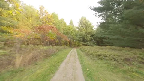 Forest Trail Fly Through Stock Footage 140914025