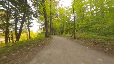 Forest Trail Fly Through Stock Footage 140914030