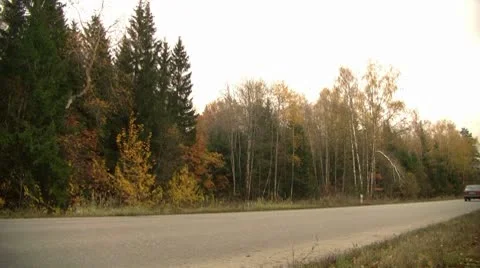 Forest trail Stock Footage 8911831