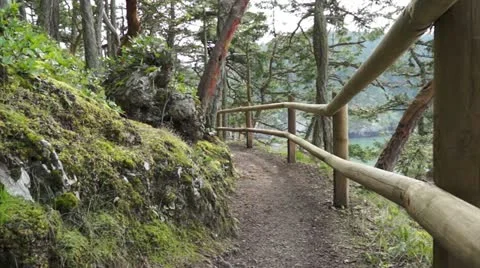 Forest trail Stock Footage 10915079