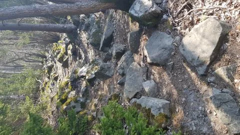 Forest trail full of small sharp boulders Stock Photos