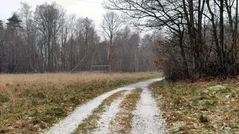 Forest Trail With Heavy Snowing Video stock 101190491