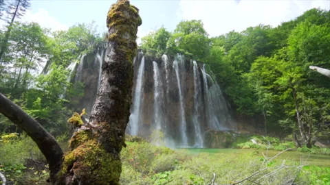 Forest trail leading to hidden waterfall in Plitvice Stock Footage 319771966