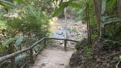 Forest trail leading to rocky stream near Mok Fa Waterfall Vidéo 331160130