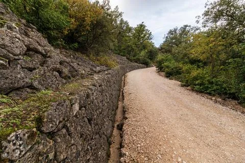 Forest trail leading to the summit of the Carrascal de la Font Roja Stockfoto's