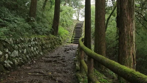 Forest Trail with Moss Covered Rail and Stone Steps in Hakone Japan Stock Footage 321132766