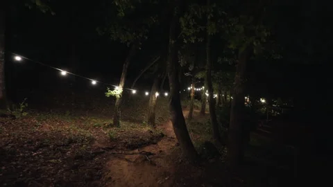 Forest trail at night lit by string lights Stock Footage 319876890
