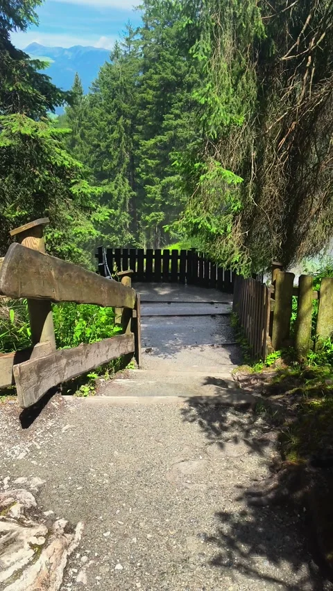Forest Trail Path: Wooden Walkway, Mountain Valley Stock-Footage 313504407