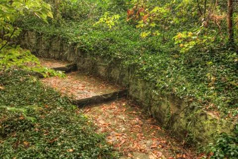 Forest trail Stock Photos