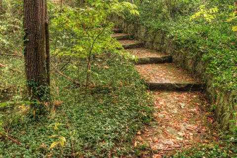 Forest trail Stock Photos