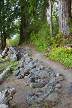 Forest trail Stock Photos