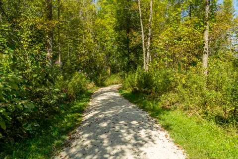 Forest trail Stock Photos