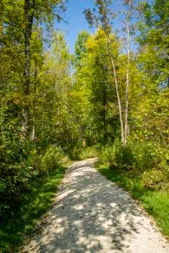 Forest trail Stock Photos