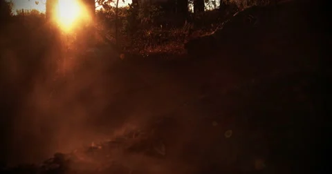 Forest trail riding mountain biker kicking up dirt Stock Footage 48425860