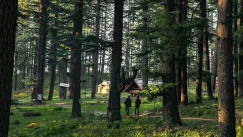 Forest trail scenery including a remote village in Jibhi, HP, India. Stock Photos