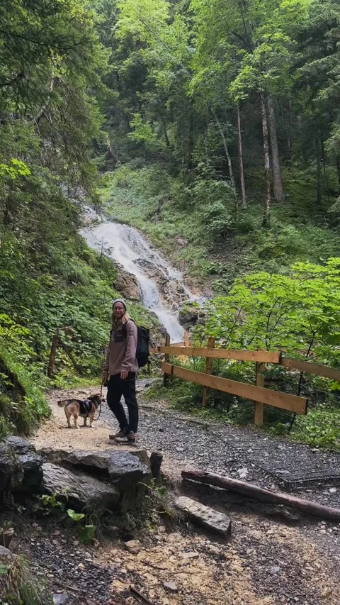 Forest Trail with Stream Flowing Downhill. Stock Footage 328350824