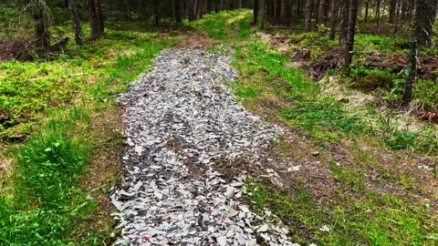 Forest trail surfaced with broken grey roofing fragments, showing 스톡 동영상 338189622