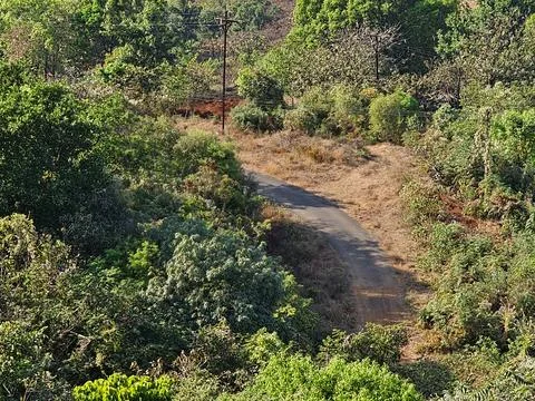 Forest trail view Narrow path cutting through dense green foliage Stock Photos