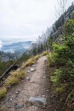 Forest trail, Washington State Stock-Fotos
