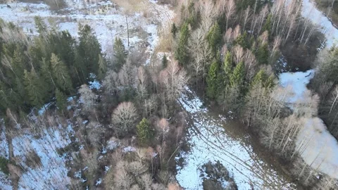 Forest trail in winter. Stock Footage 167236977