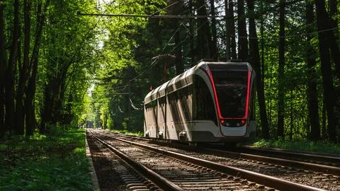 Forest Tramway Stock Photos