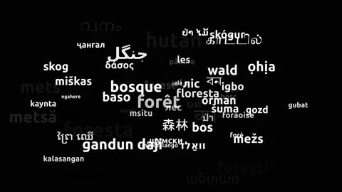 Forest Translated in 73 Worldwide Languages Endless Looping 3d Zooming Wordcl Видео 145205297