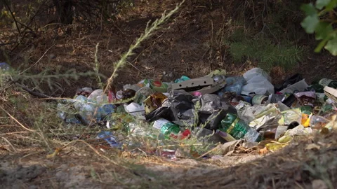 Forest Trash Pile Close-Up Stock Footage 285299915