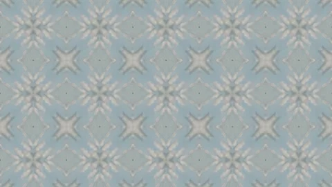 Forest Tree Branch Symmetrical Pattern Motion Stock Footage 335945564