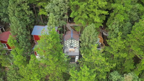 Forest tree house1 Stock Footage 252366416