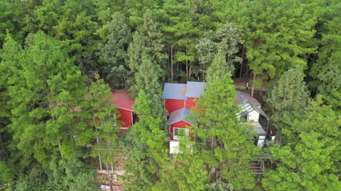 Forest tree house4 Stock Footage 252367095