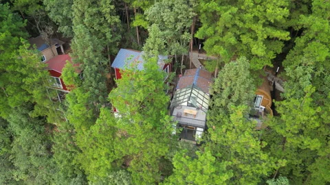 Forest tree house5 Stock Footage 252366958