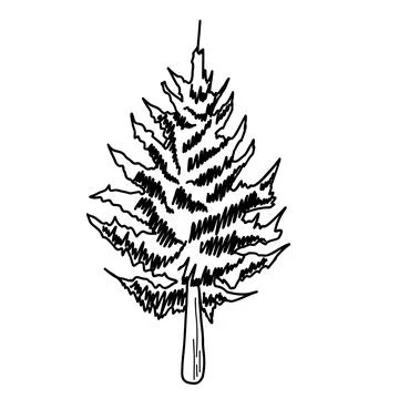 Forest Tree line. set of graphics trees elements outline symbol for architecture Stock Illustration