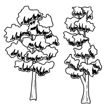 Forest Tree line. set of graphics trees elements outline symbol for architecture Stock Illustration