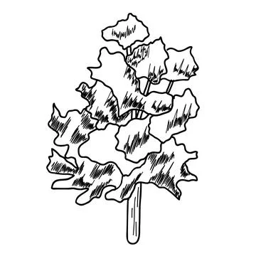 Forest Tree line. set of graphics trees elements outline symbol for architecture Stock Illustration