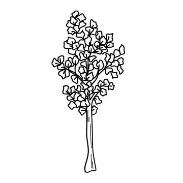 Forest Tree line. set of graphics trees elements outline symbol for architecture Illustrazione stock