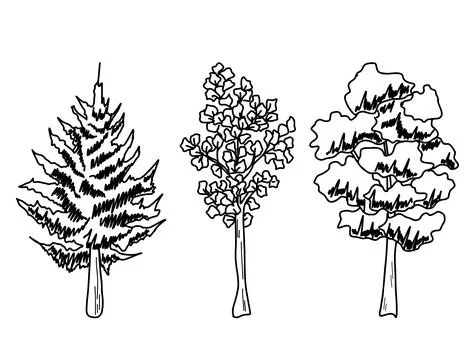 Forest Tree line. set of graphics trees elements outline symbol for architecture Stock Illustration